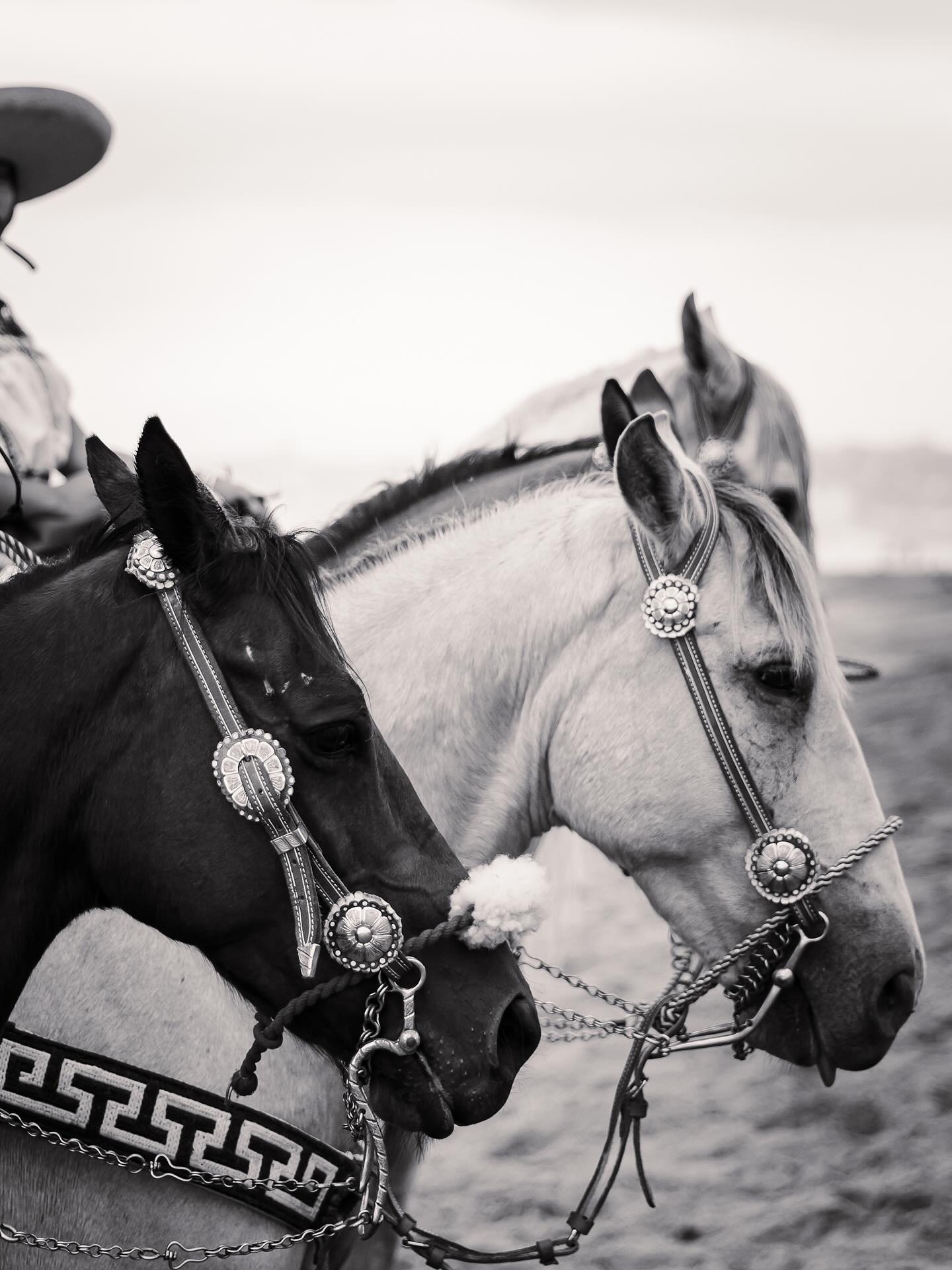 574381067_18407007877189534_8685011344049762039_n